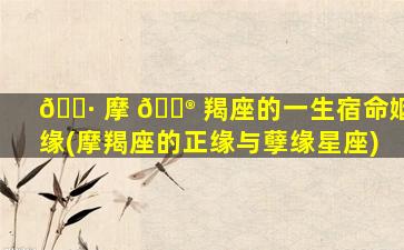 🌷 摩 💮 羯座的一生宿命姻缘(摩羯座的正缘与孽缘星座)